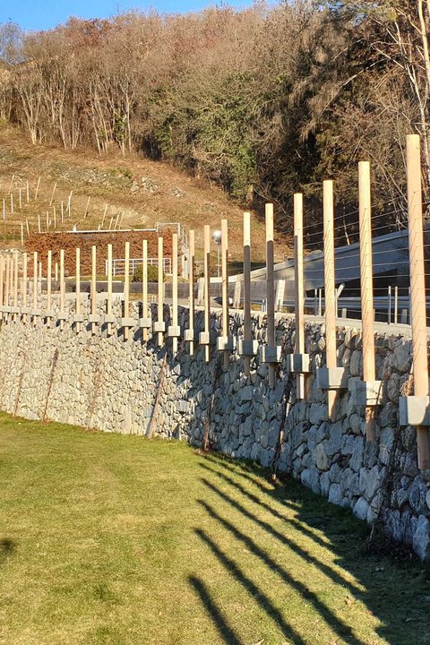 Hotel Pacherhof con tenuta vinicola: immagini e video Hotel Pacherhof con tenuta vinicola: immagini e video