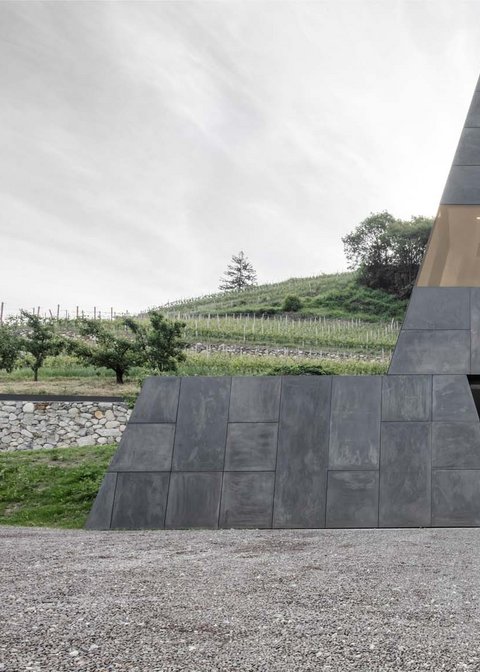 Hotel Pacherhof con tenuta vinicola: immagini e video Hotel Pacherhof con tenuta vinicola: immagini e video