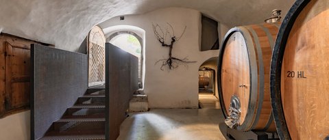 Hotel Pacherhof con tenuta vinicola: immagini e video Hotel Pacherhof con tenuta vinicola: immagini e video