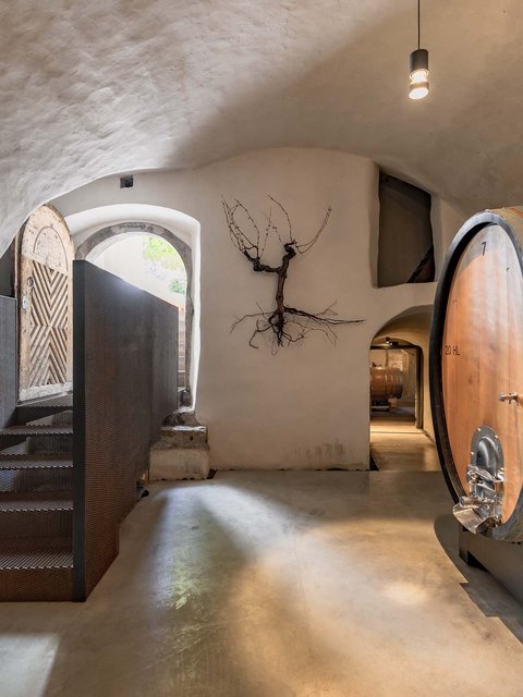 Hotel Pacherhof con tenuta vinicola: immagini e video Hotel Pacherhof con tenuta vinicola: immagini e video