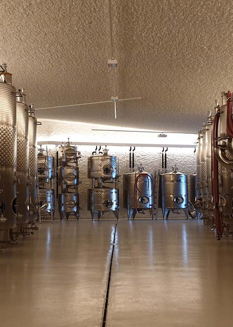 Hotel Pacherhof con tenuta vinicola: immagini e video Hotel Pacherhof con tenuta vinicola: immagini e video