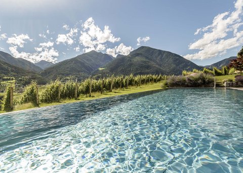 Hotel Pacherhof con tenuta vinicola: immagini e video Hotel Pacherhof con tenuta vinicola: immagini e video