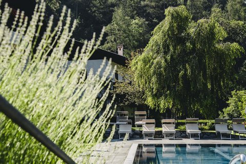 Hotel Pacherhof con tenuta vinicola: immagini e video Hotel Pacherhof con tenuta vinicola: immagini e video