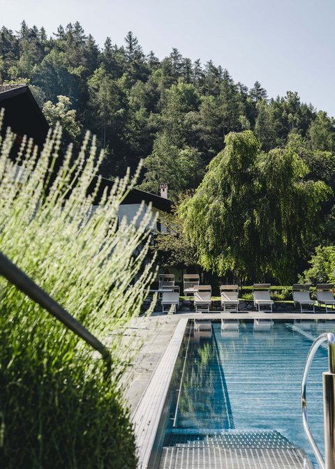 Hotel Pacherhof con tenuta vinicola: immagini e video Hotel Pacherhof con tenuta vinicola: immagini e video