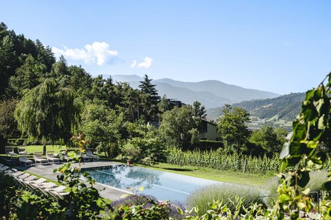 Hotel Pacherhof con tenuta vinicola: immagini e video Hotel Pacherhof con tenuta vinicola: immagini e video