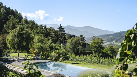 Hotel Pacherhof con tenuta vinicola: immagini e video Hotel Pacherhof con tenuta vinicola: immagini e video