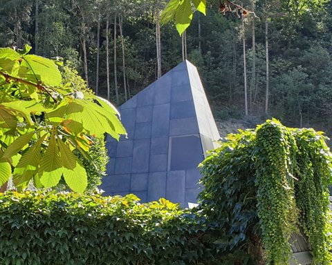 Hotel Pacherhof con tenuta vinicola: immagini e video Hotel Pacherhof con tenuta vinicola: immagini e video