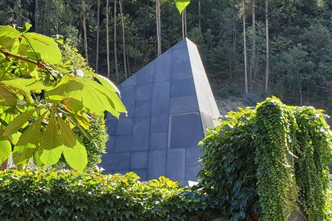 Hotel Pacherhof con tenuta vinicola: immagini e video Hotel Pacherhof con tenuta vinicola: immagini e video