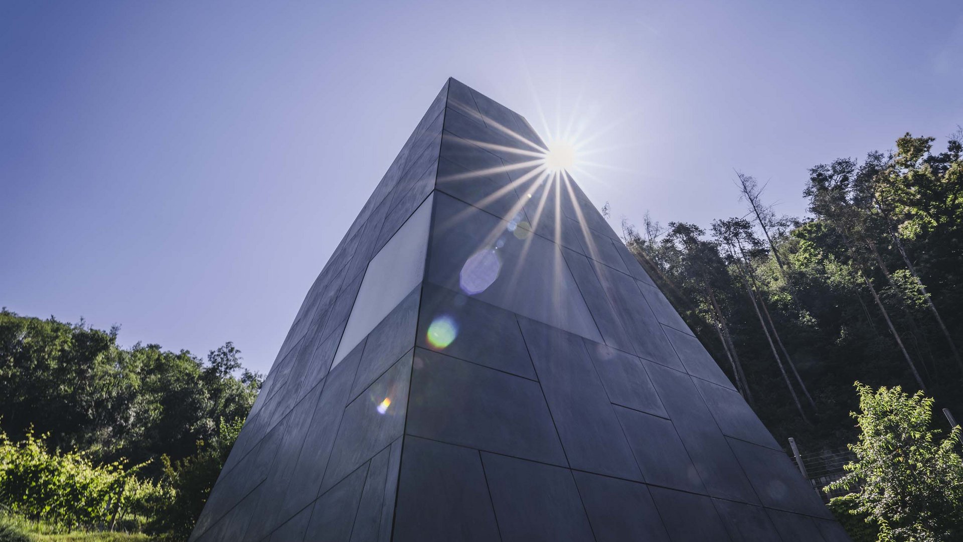 Vinhotel in Alto Adige: amore millenario per il vino Vinhotel in Alto Adige: amore millenario per il vino