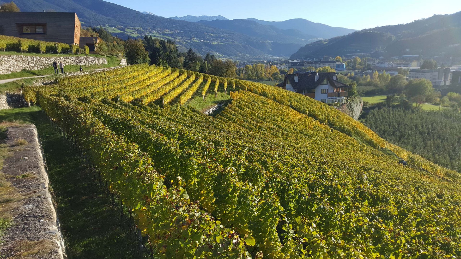 Eisacktal: Spitzenwein aus Südtirol