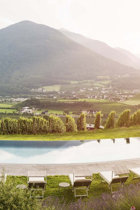 Hotel Pacherhof con tenuta vinicola: immagini e video Hotel Pacherhof con tenuta vinicola: immagini e video