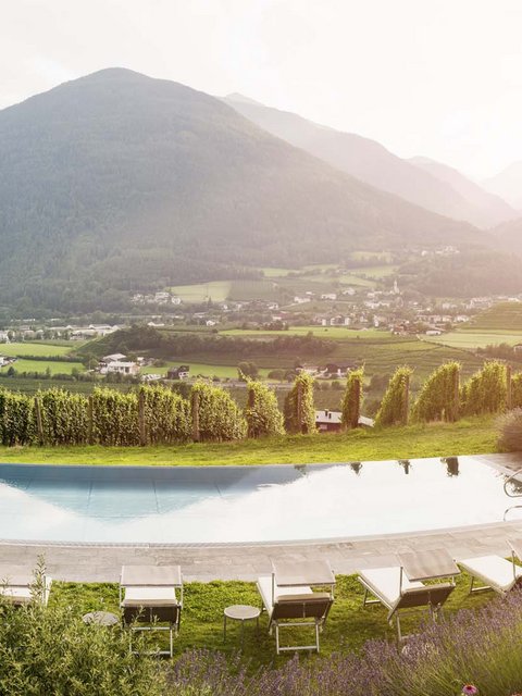 Hotel Pacherhof con tenuta vinicola: immagini e video Hotel Pacherhof con tenuta vinicola: immagini e video