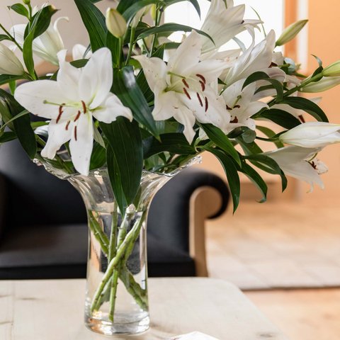 Hotel Pacherhof con tenuta vinicola: immagini e video Hotel Pacherhof con tenuta vinicola: immagini e video