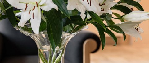 Hotel Pacherhof con tenuta vinicola: immagini e video Hotel Pacherhof con tenuta vinicola: immagini e video