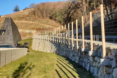 Hotel Pacherhof con tenuta vinicola: immagini e video Hotel Pacherhof con tenuta vinicola: immagini e video