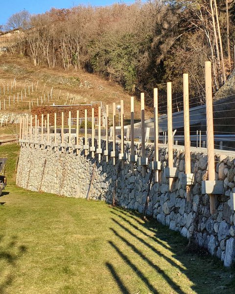 Hotel Pacherhof con tenuta vinicola: immagini e video Hotel Pacherhof con tenuta vinicola: immagini e video