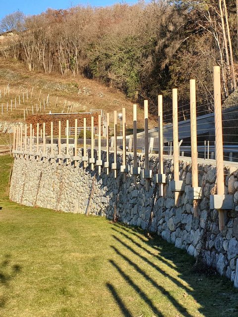 Hotel Pacherhof con tenuta vinicola: immagini e video Hotel Pacherhof con tenuta vinicola: immagini e video