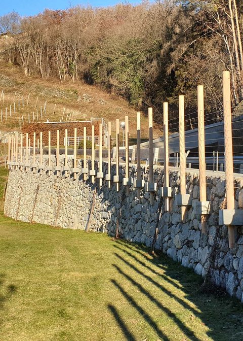 Hotel Pacherhof con tenuta vinicola: immagini e video Hotel Pacherhof con tenuta vinicola: immagini e video