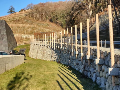 Hotel Pacherhof con tenuta vinicola: immagini e video Hotel Pacherhof con tenuta vinicola: immagini e video