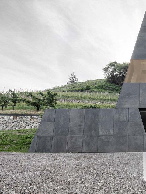 Hotel Pacherhof con tenuta vinicola: immagini e video Hotel Pacherhof con tenuta vinicola: immagini e video