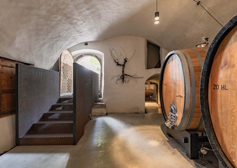 Hotel Pacherhof con tenuta vinicola: immagini e video Hotel Pacherhof con tenuta vinicola: immagini e video