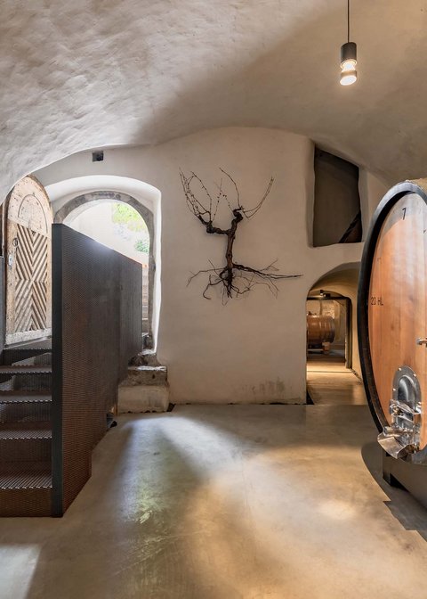 Hotel Pacherhof con tenuta vinicola: immagini e video Hotel Pacherhof con tenuta vinicola: immagini e video