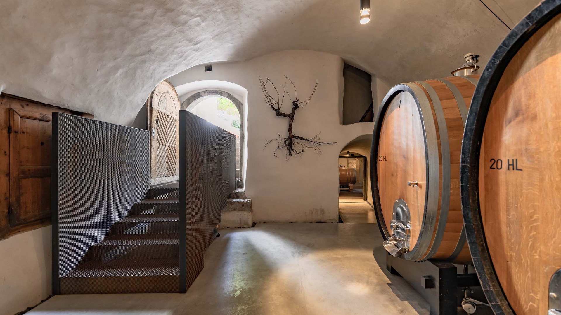 Historic wine cellars, unique viticulture