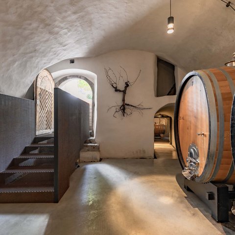 Hotel Pacherhof con tenuta vinicola: immagini e video Hotel Pacherhof con tenuta vinicola: immagini e video
