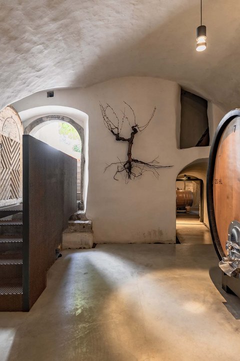 Hotel Pacherhof con tenuta vinicola: immagini e video Hotel Pacherhof con tenuta vinicola: immagini e video