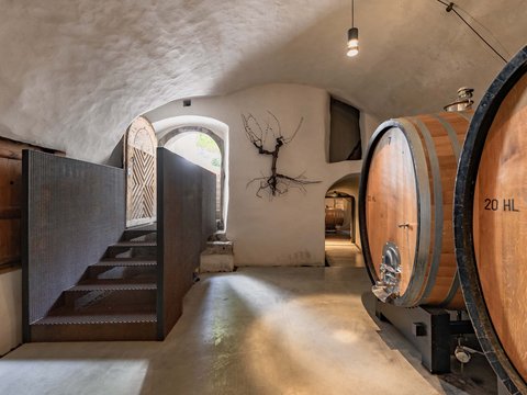 Hotel Pacherhof con tenuta vinicola: immagini e video Hotel Pacherhof con tenuta vinicola: immagini e video