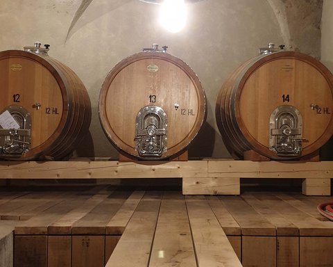 Hotel Pacherhof con tenuta vinicola: immagini e video Hotel Pacherhof con tenuta vinicola: immagini e video