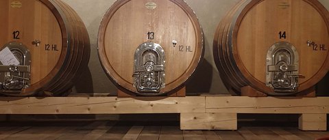 Hotel Pacherhof con tenuta vinicola: immagini e video Hotel Pacherhof con tenuta vinicola: immagini e video