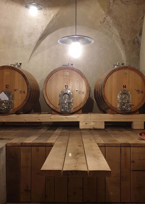 Hotel Pacherhof con tenuta vinicola: immagini e video Hotel Pacherhof con tenuta vinicola: immagini e video