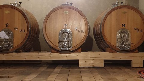 Hotel Pacherhof con tenuta vinicola: immagini e video Hotel Pacherhof con tenuta vinicola: immagini e video