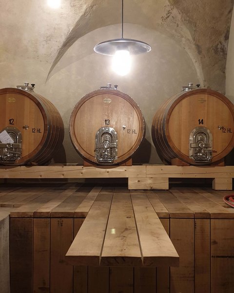 Hotel Pacherhof con tenuta vinicola: immagini e video Hotel Pacherhof con tenuta vinicola: immagini e video