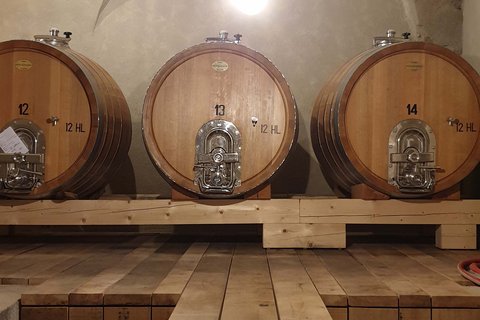 Hotel Pacherhof con tenuta vinicola: immagini e video Hotel Pacherhof con tenuta vinicola: immagini e video