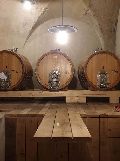 Hotel Pacherhof con tenuta vinicola: immagini e video Hotel Pacherhof con tenuta vinicola: immagini e video