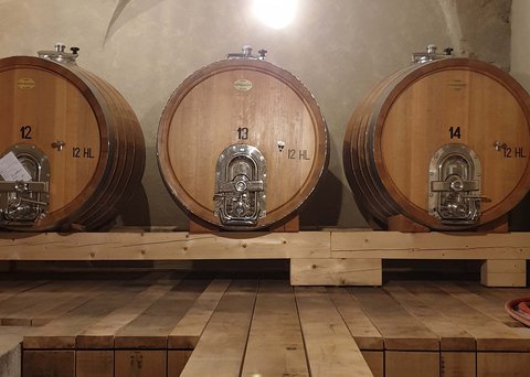 Hotel Pacherhof con tenuta vinicola: immagini e video Hotel Pacherhof con tenuta vinicola: immagini e video