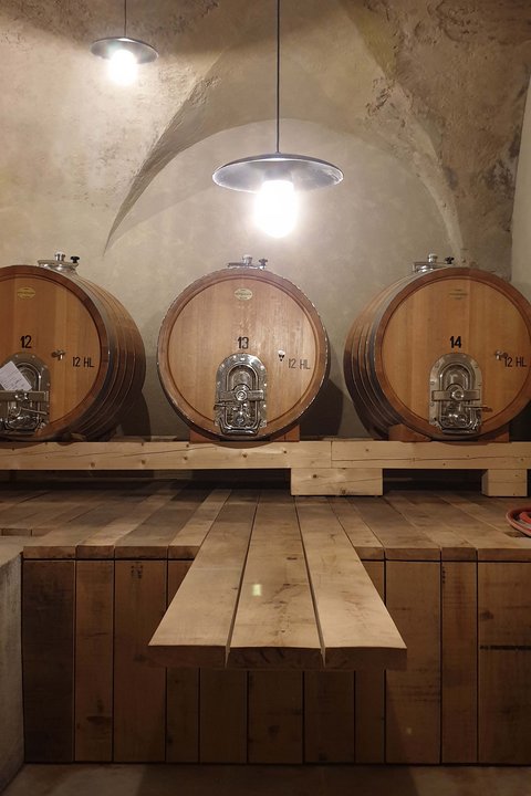 Hotel Pacherhof con tenuta vinicola: immagini e video Hotel Pacherhof con tenuta vinicola: immagini e video