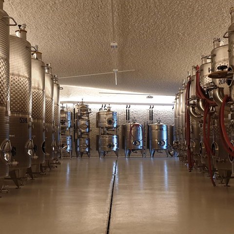Hotel Pacherhof con tenuta vinicola: immagini e video Hotel Pacherhof con tenuta vinicola: immagini e video