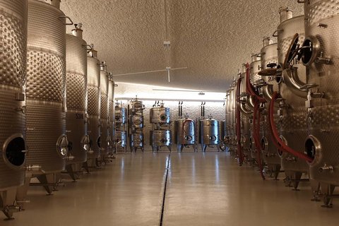 Hotel Pacherhof con tenuta vinicola: immagini e video Hotel Pacherhof con tenuta vinicola: immagini e video
