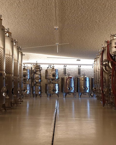 Hotel Pacherhof con tenuta vinicola: immagini e video Hotel Pacherhof con tenuta vinicola: immagini e video