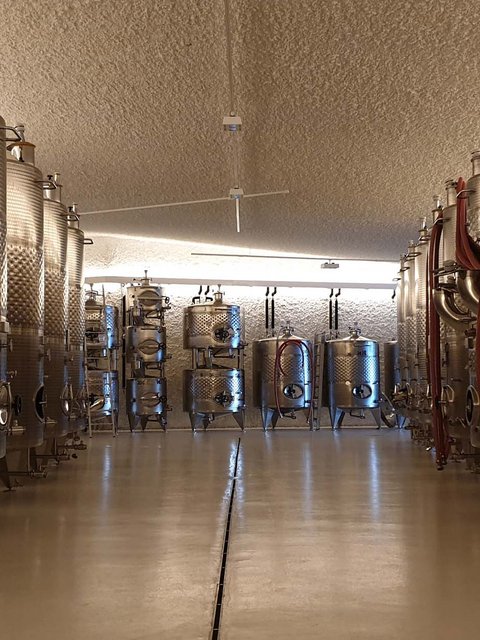 Hotel Pacherhof con tenuta vinicola: immagini e video Hotel Pacherhof con tenuta vinicola: immagini e video