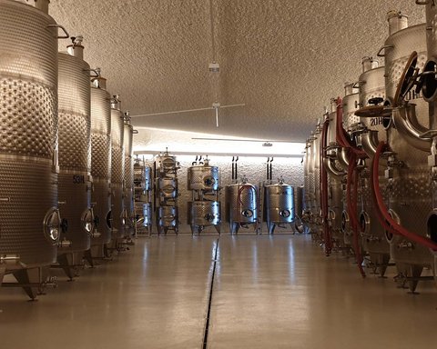 Hotel Pacherhof con tenuta vinicola: immagini e video Hotel Pacherhof con tenuta vinicola: immagini e video