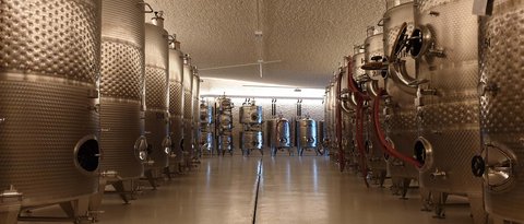 Hotel Pacherhof con tenuta vinicola: immagini e video Hotel Pacherhof con tenuta vinicola: immagini e video