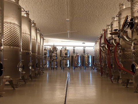 Hotel Pacherhof con tenuta vinicola: immagini e video Hotel Pacherhof con tenuta vinicola: immagini e video