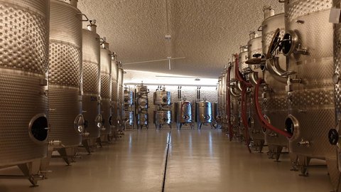 Hotel Pacherhof con tenuta vinicola: immagini e video Hotel Pacherhof con tenuta vinicola: immagini e video