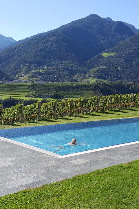 Hotel Pacherhof con tenuta vinicola: immagini e video Hotel Pacherhof con tenuta vinicola: immagini e video