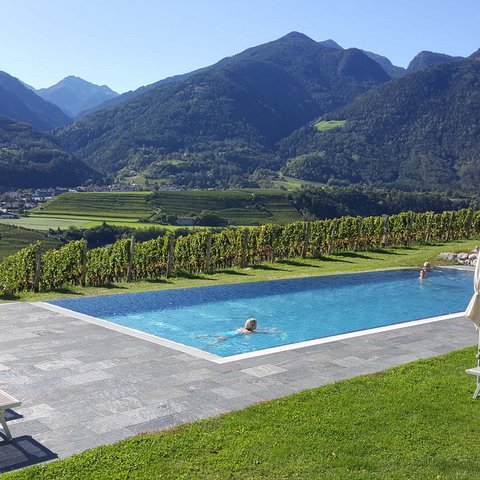 Hotel Pacherhof con tenuta vinicola: immagini e video Hotel Pacherhof con tenuta vinicola: immagini e video