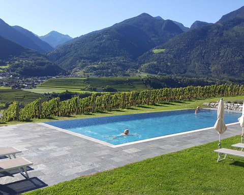 Hotel Pacherhof con tenuta vinicola: immagini e video Hotel Pacherhof con tenuta vinicola: immagini e video